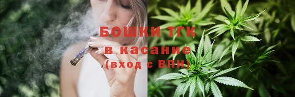 mdpv Инсар
