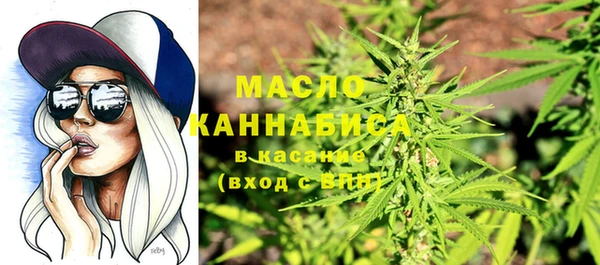 трава Инта