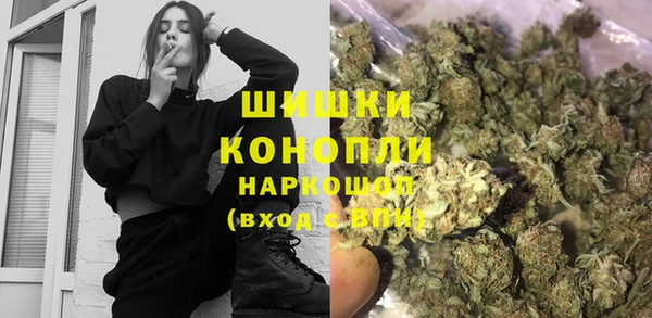 mdpv Инсар