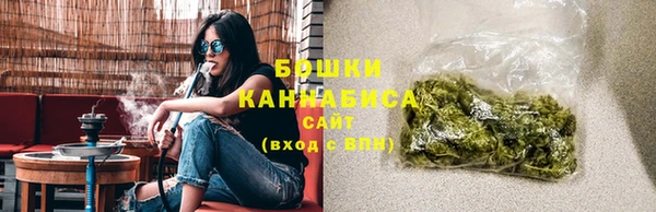 трава Инта